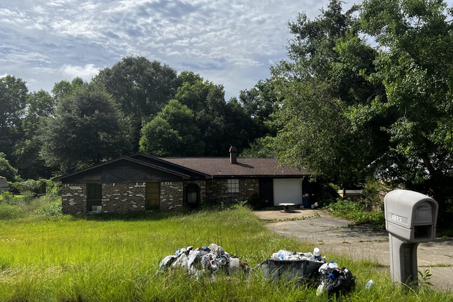 Before renovation — overgrown property